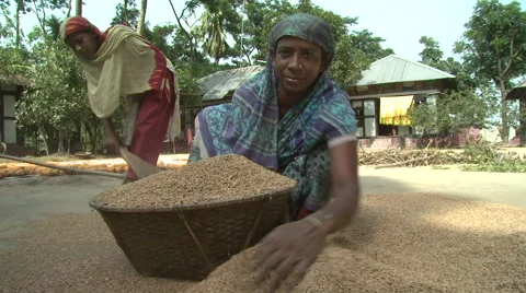 Bangladesh Vidéo 58768289