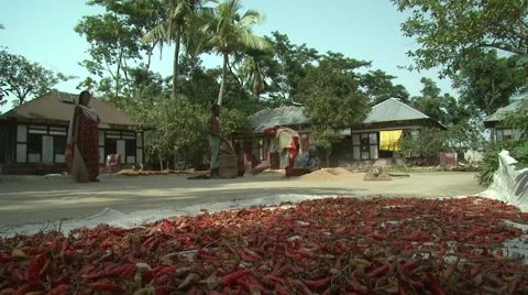 Bangladesh Stock Footage 58768298