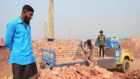Bangladesh Kiln Workers Loading Fired Bricks Transport Flatbed Truck Material Stock Footage 337205493