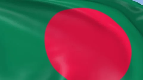 Bangladesh Waving Flag Background Loop Stock Footage 317843246