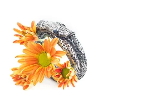 Bangle silver and crytal snake shape design on vibrant flower Fotos Stock