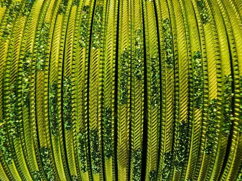 Bangles close macro shot, green bangles texture Stock Photos