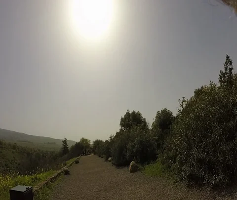 Banias 04 Stock Footage 111037801