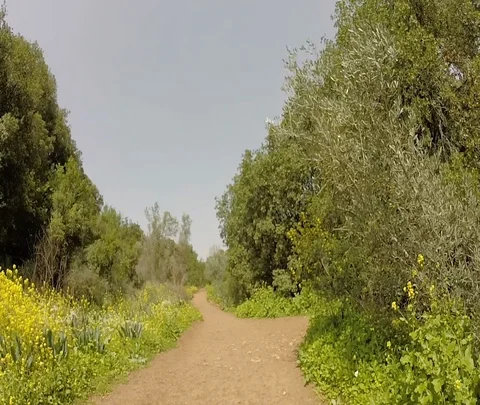 Banias 09 Stock Footage 111042089