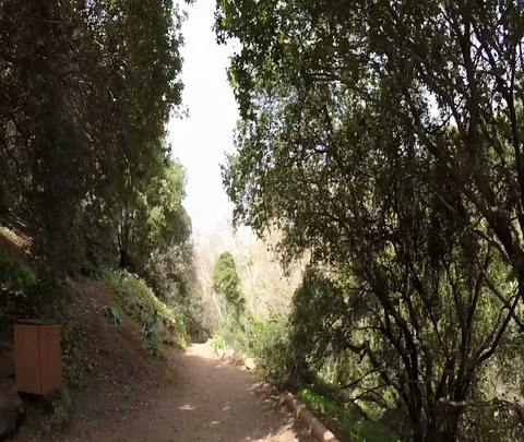 Banias 10 Stock Footage 111042434