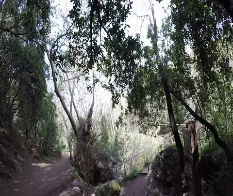 Banias 11 Stock Footage 111042678