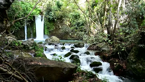 Banias Falls- 4k Stock Footage 144316641
