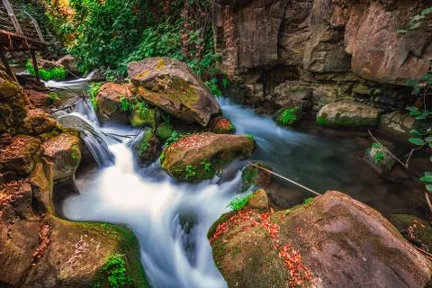 Banias river flow Stock Photos