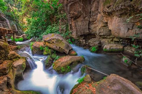 Banias river flow Stock Photos