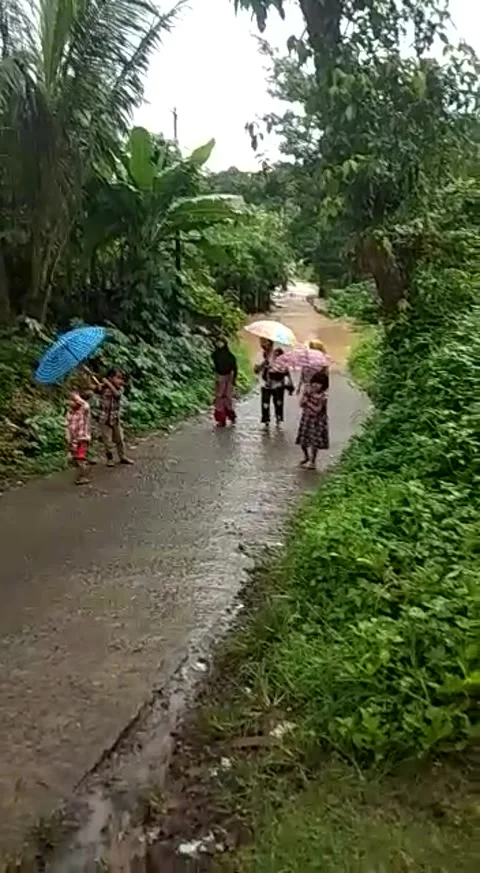 Banjir Video stock 221108262