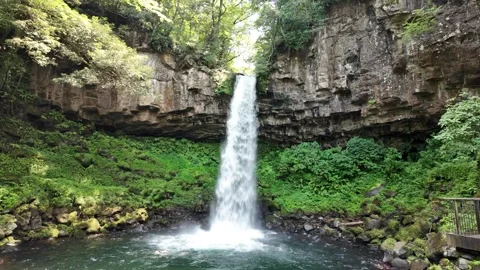 Banjo Falls Waterfall Framed by Green Forest, Izu, Japan (4K) Stock Footage 341364773