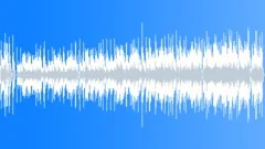 Banjo Polka Stock Music