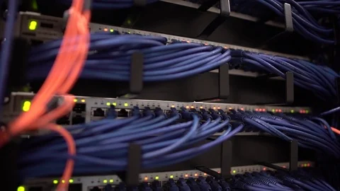 Bank of Blue Network Cables Mid Video stock 79995513