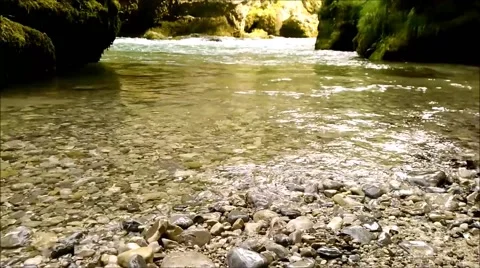Bank of a flowing mountain river. Stock Footage 65130179