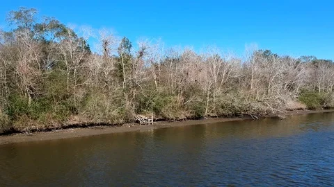 Bank of inlet river deep in the bayou with barren trees and clear blue sky Stock Footage 101550002