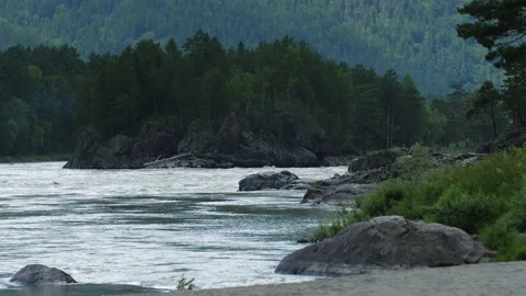 Bank of the Katun River Stock Footage 203900699