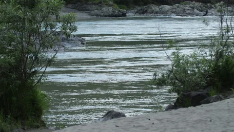 Bank of the Katun River Stock Footage 204106573