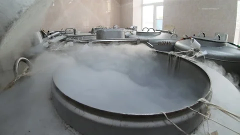 A bank with liquid nitrogen in the laboratory with samples of semen from a bull Stock Footage 170683724