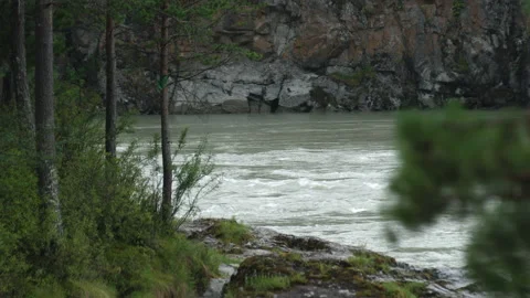 Bank of a mountain river Stock Footage 204107684