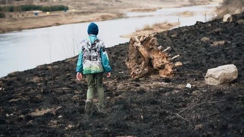 The Bank of the river with burnt grass. The boy walks through the ashes Stock Footage 128016356