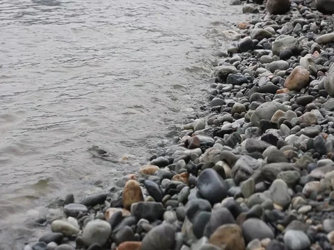 Bank of River Video stock 74274057