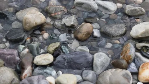 Bank of River Stock-Footage 74274077