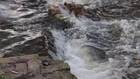 Bank of a river next to a small weir Stock Footage 80434149