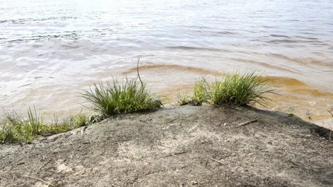 Bank of the river in slow motion. Stock Footage 201029214