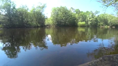 On the bank of a small river Stock Footage 146939838