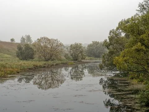 The bank of a small river in spring Stock Photos