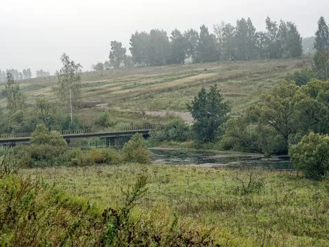 The bank of a small river in spring Stock Photos