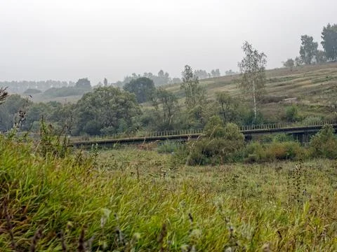 The bank of a small river in spring Stock Photos