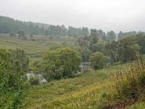 The bank of a small river in spring Stock Photos