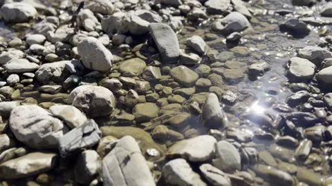 The bank of a spring mountain river is late in the morning. Stock Footage 330496146