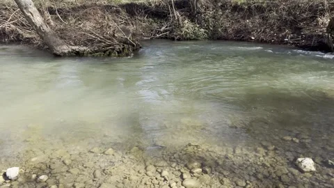 The bank of a spring mountain river is late in the morning. Stock Footage 330496297