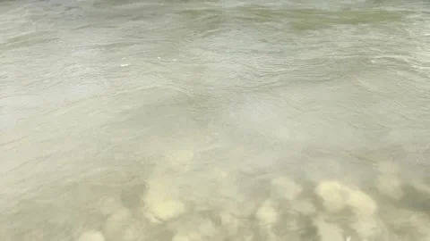 The bank of a spring mountain river is late in the morning. Stock Footage 330498761
