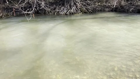 The bank of a spring mountain river is late in the morning. Stock Footage 330499562