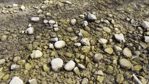 The bank of a spring mountain river is late in the morning. Stock Footage 330499570