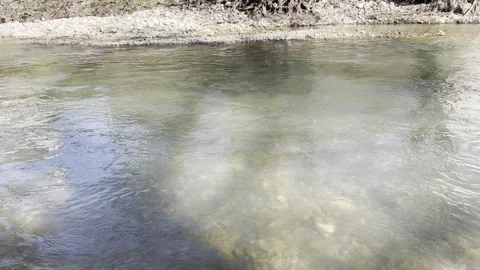 The bank of a spring mountain river is late in the morning. Stock Footage 330499584