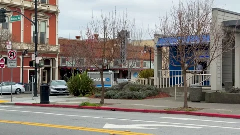 Bank View with Leafless Trees Stock Footage 306804780