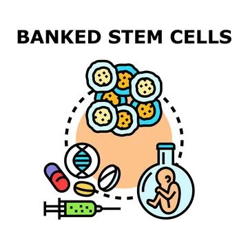Banked stem cells future medical treatments concept Stock Illustration