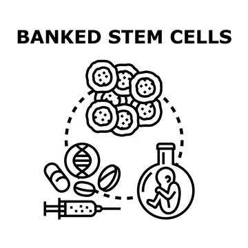 Banked stem cells future medical treatments concept Stock Illustration