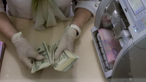 Banker Hands Counting Dollars, Machine Counting Ukrainian Hryvnias Bills. Hands Stock Footage 141342182