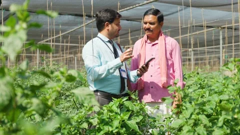 Banker or officer explaining crop growth on digital tablet to farmer at Stock Footage 230908396