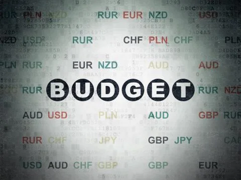 Banking concept: Budget on Digital Data Paper background Stock Illustration