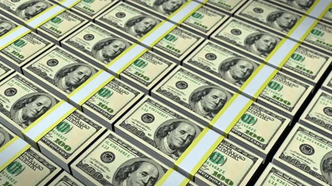 Banknot pan Stock Footage 209639752