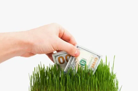 Banknote in a grass Stock Photos