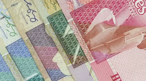 Banknotes and coins of Seychelles Stock Footage 62980499