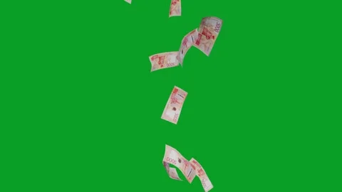 Banknotes dollars bills falling and flying on green screen Stock Footage 316721890