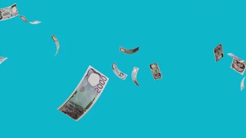 Banknotes dollars bills falling and flying on green screen Stock Footage 316722267